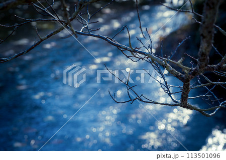 京都市西京区大原野神社の鯉沢の池が凍った冬景色を撮影 113501096