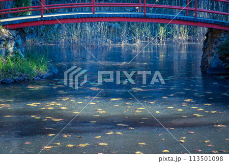 京都市西京区大原野神社の鯉沢の池が凍った冬景色を撮影 113501098