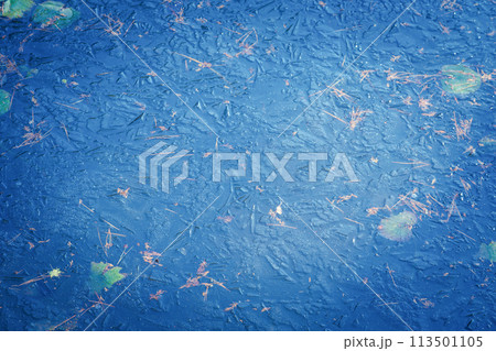 京都市西京区大原野神社の鯉沢の池が凍った冬景色を撮影 113501105