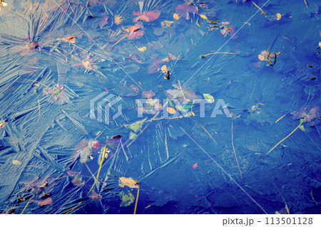 京都市西京区大原野神社の鯉沢の池が凍った冬景色を撮影 113501128