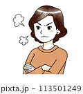 怒りに満ちた中年女性の水彩風イラスト 怒りに満ちた中年女性の水彩風イラスト 113501249