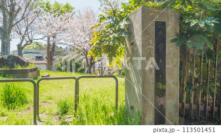 【千葉県千葉市】桜の咲く大覚寺山古墳・生浜公園 113501451