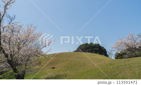【千葉県千葉市】桜の咲く大覚寺山古墳・生浜公園 113501471