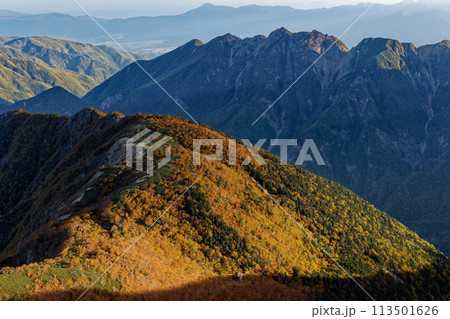 早朝の南アルプス・仙丈ヶ岳稜線から見る馬ノ背と鋸岳 113501626