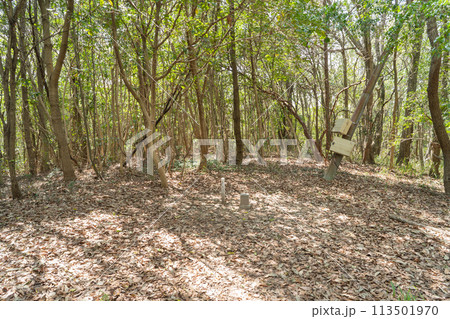 吉備中山の山頂（岡山県岡山市） 113501970