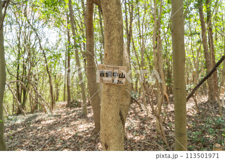 吉備中山の山頂（岡山県岡山市） 113501971
