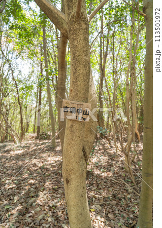 吉備中山の山頂（岡山県岡山市） 113501972