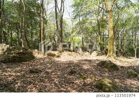 吉備中山の八畳岩(岡山県岡山市) 吉備中山の八畳岩(岡山県岡山市) 113501974