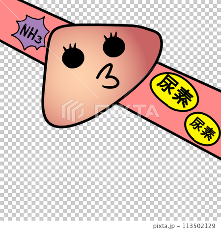 Ammonia and the Liver ① Ammonia and the Liver ① 113502129