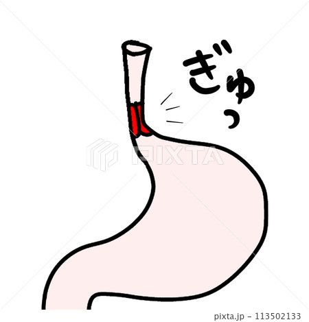 括約筋 113502133