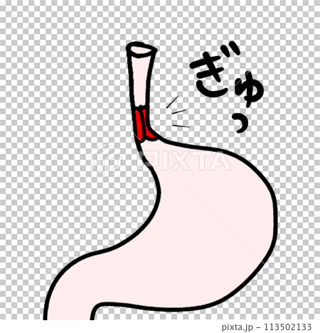 括約筋 113502133