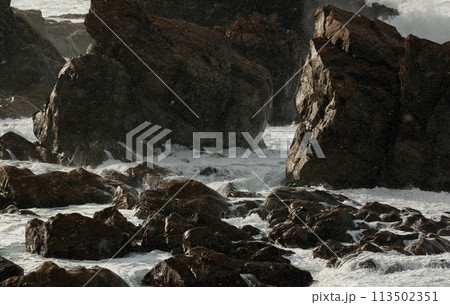 波に洗われ光る岩礁 113502351