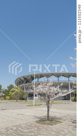 春の桜とフクダ電子アリーナ 千葉市蘇我スポーツ公園 春の桜とフクダ電子アリーナ 千葉市蘇我スポーツ公園 113502549