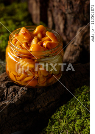 Homemade pickled honey mushrooms in a glass jar. Homemade pickled honey mushrooms in a glass jar. 113502873