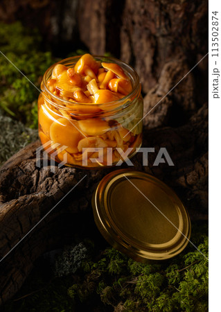 Homemade pickled honey mushrooms in a glass jar. Homemade pickled honey mushrooms in a glass jar. 113502874