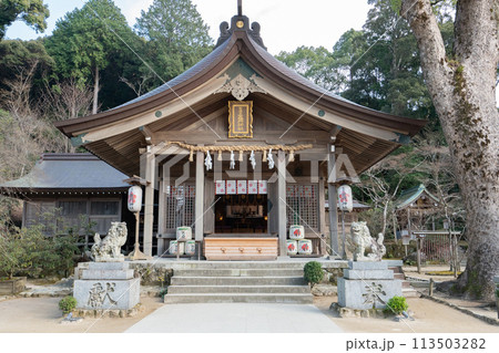 宝満宮 竈門神社<福岡県太宰府市/2023年12月> 宝満宮 竈門神社<福岡県太宰府市/2023年12月> 113503282