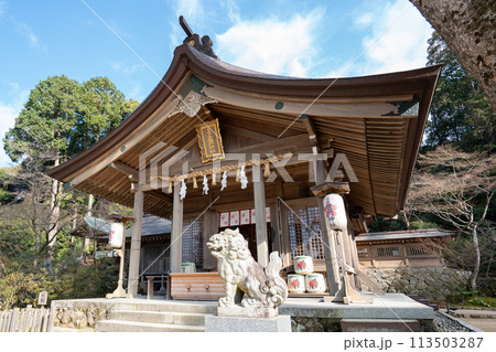 宝満宮 竈門神社<福岡県太宰府市/2023年12月> 宝満宮 竈門神社<福岡県太宰府市/2023年12月> 113503287