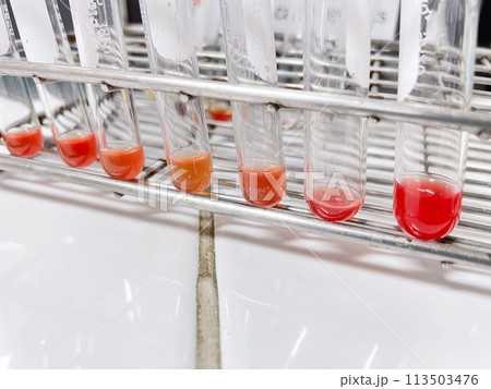 Blood bank laboratory with equipment. Blood bank laboratory with equipment. 113503476