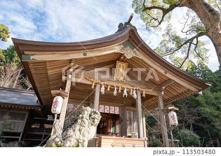 宝満宮 竈門神社<福岡県太宰府市/2023年12月> 宝満宮 竈門神社<福岡県太宰府市/2023年12月> 113503480