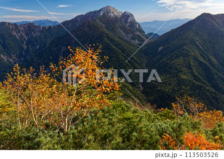 南アルプス・小仙丈ヶ岳から見る甲斐駒ヶ岳 113503526