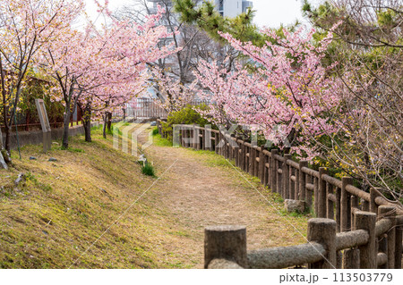 淀城跡　京都 113503779