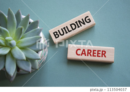 Building Career symbol. Wooden blocks with words Building Career. Beautiful grey green background with succulent plant. Business and Building Career concept. Copy space. 113504037