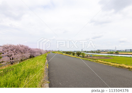 戸田桜づつみ 戸田桜づつみ 113504376