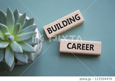 Building Career symbol. Wooden blocks with words Building Career. Beautiful grey green background with succulent plant. Business and Building Career concept. Copy space. Building Career symbol. Wooden blocks with words Building Career. Beautiful grey green background with succulent plant. Business and Building Career concept. Copy space. 113504470
