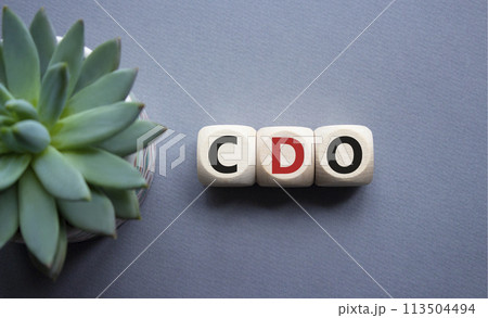 CDO - Collateralized Debt Obligation symbol. Wooden cubes with word CDO. Beautiful grey background with succulent plant. Business and Collateralized Debt Obligation concept. Copy space. 113504494