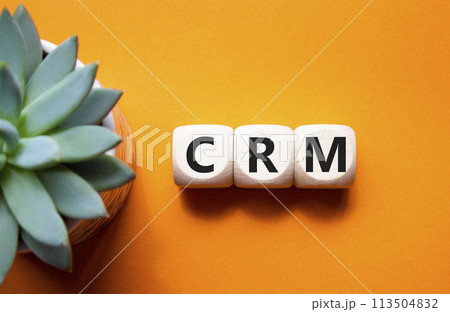 CRM - Customer relationship management symbol. Concept word CRM on wooden cubes. Beautiful orange background with succulent plant. Business and CRM concept. Copy space. 113504832