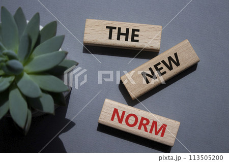 The new norm symbol. Concept words The new norm on wooden blocks. Beautiful grey background with succulent plant. Business and The new norm concept. Copy space. The new norm symbol. Concept words The new norm on wooden blocks. Beautiful grey background with succulent plant. Business and The new norm concept. Copy space. 113505200