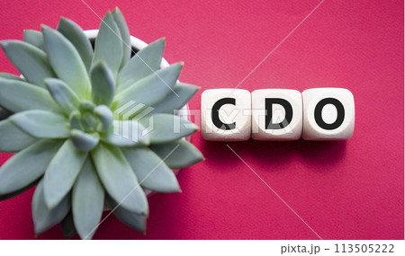 CDO - Collateralized Debt Obligation symbol. Wooden cubes with word CDO. Beautiful red background with succulent plant. Business and Collateralized Debt Obligation concept. Copy space. CDO - Collateralized Debt Obligation symbol. Wooden cubes with word CDO. Beautiful red background with succulent plant. Business and Collateralized Debt Obligation concept. Copy space. 113505222