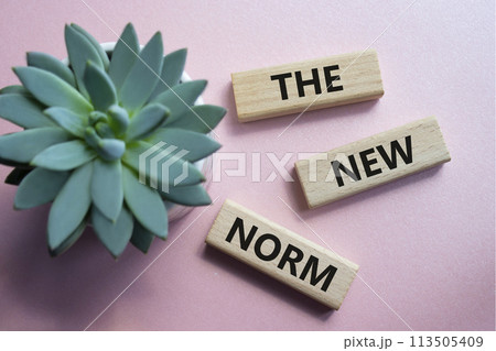 The new norm symbol. Concept words The new norm on wooden blocks. Beautiful pink background with succulent plant. Business and The new norm concept. Copy space. The new norm symbol. Concept words The new norm on wooden blocks. Beautiful pink background with succulent plant. Business and The new norm concept. Copy space. 113505409