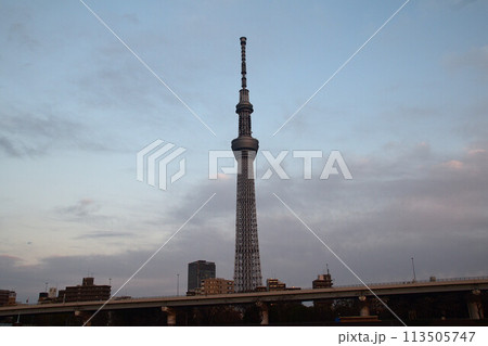 青空とスカイツリー 113505747