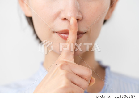 半袖ブラウスの若い女性 半袖ブラウスの若い女性 113506587