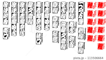 鰊 鰯 千社札 シール ニシン イワシ 日本語 4 鰊 鰯 千社札 シール ニシン イワシ 日本語 4 113506664