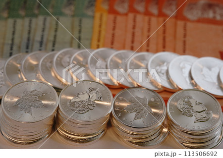 実物資産の銀貨と紙幣の共演 113506692