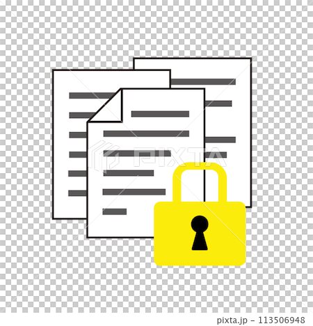 Document and padlock icon 113506948