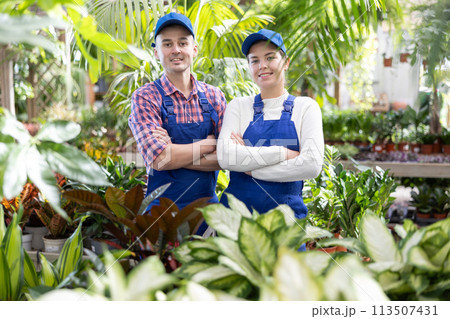 Two gardeners, man and woman, with potted flowers in his hands at flower market 113507431