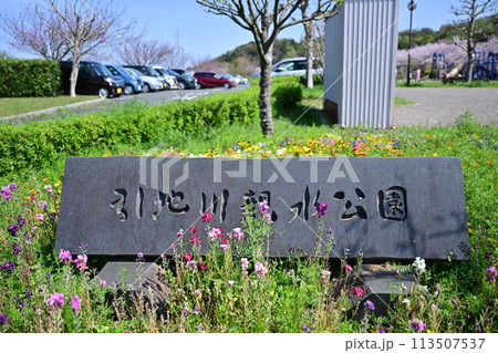 引地川親水公園の桜 引地川親水公園の桜 113507537