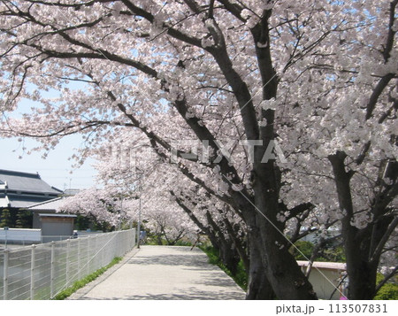 2004年・香川・宇多津・風景・其の十一 2004年・香川・宇多津・風景・其の十一 113507831