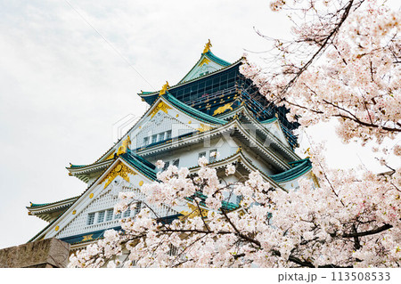 春の大阪城と桜 113508533