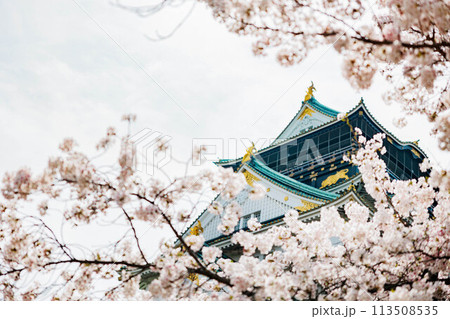 春の大阪城と桜 113508535