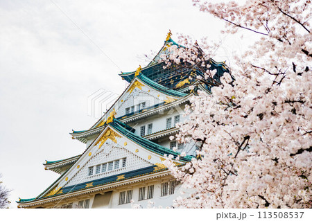 春の大阪城と桜 春の大阪城と桜 113508537
