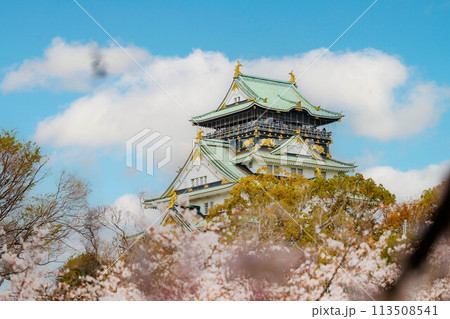 春の大阪城と桜 113508541