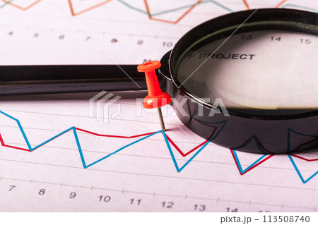 Magnifying glass and business growth graph Magnifying glass and business growth graph 113508740
