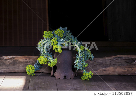 農家の生花 113508857