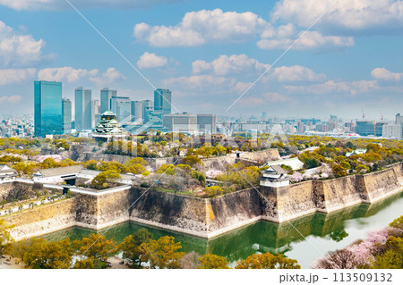 春の大阪城と桜 113509132