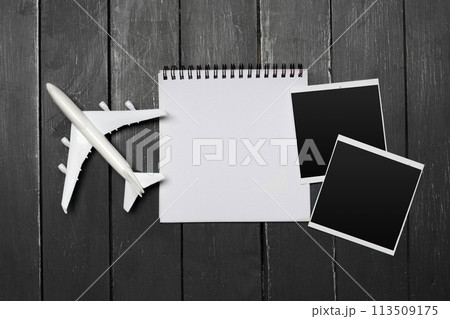 Model airplane on the wooden background Model airplane on the wooden background 113509175