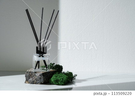 Elegant Aroma Diffuser With Black Reeds on a Granite Base Next to Moss Decor Elegant Aroma Diffuser With Black Reeds on a Granite Base Next to Moss Decor 113509220